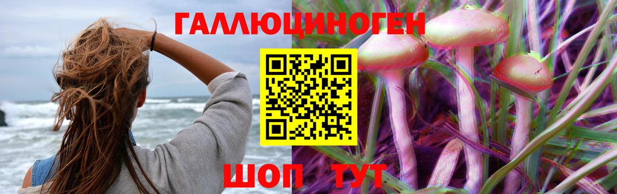 Галлюциногенные грибы Psilocybe Губкин